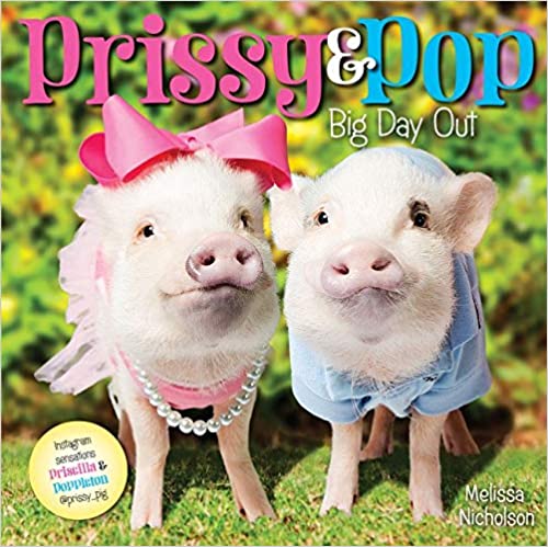 Prissy & Pop: Big Day Out 