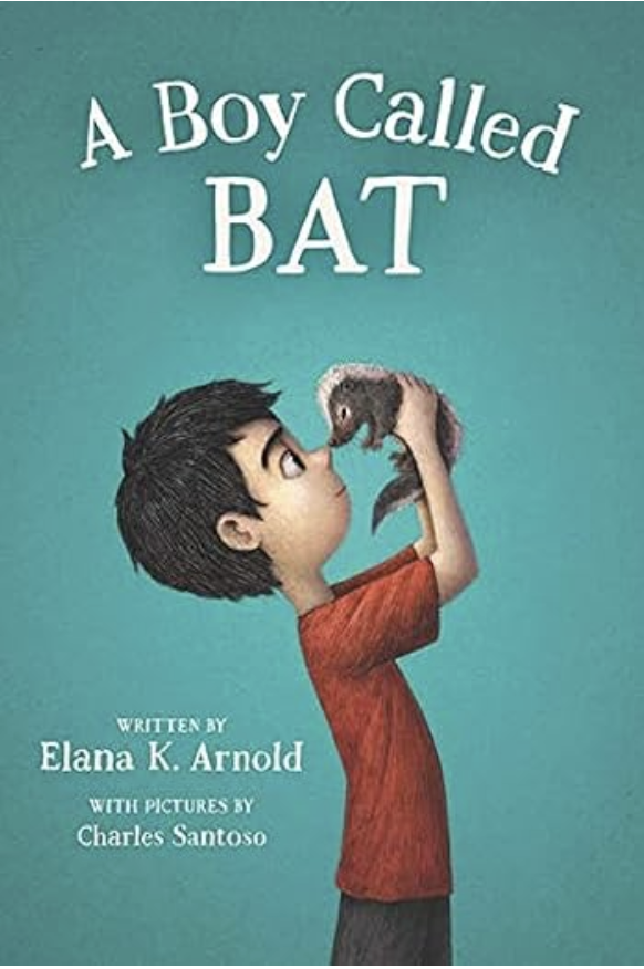 A Boy Called Bat