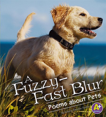 A Fuzzy-Fast Blur